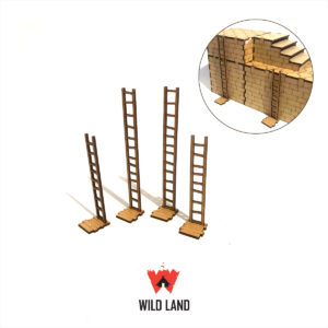 stepladder 22 (4)